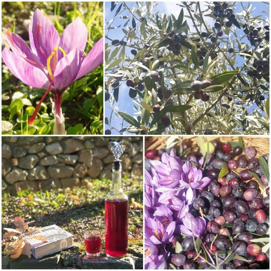 Agri Art Villa San Benedetto Ullano ภายนอก รูปภาพ