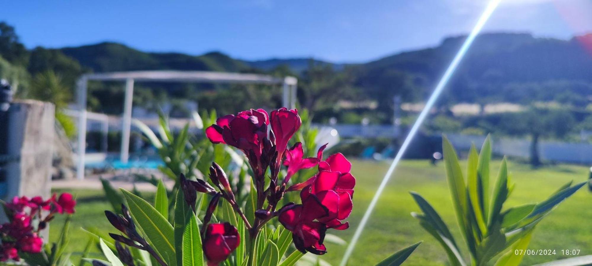 Agri Art Villa San Benedetto Ullano ภายนอก รูปภาพ